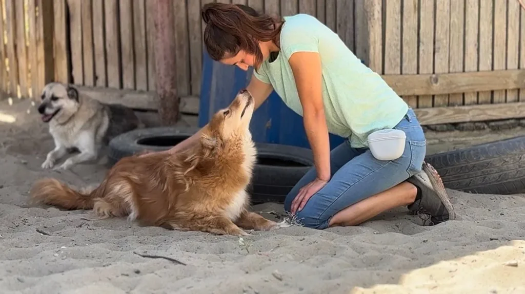 Foto van hond samen met hondengedragsdeskundige Nynke van Nynkyno.